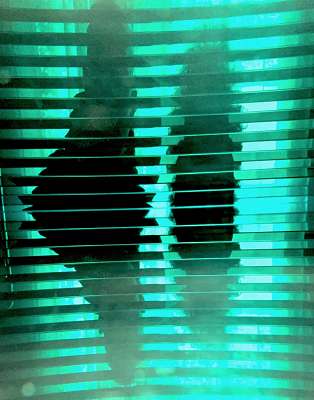 What Means the World 2 U: The Future w/ Wave Segal