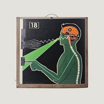 SOLID STATE SURVIVOR W/ SHAGS CHAMBERLAIN (R)