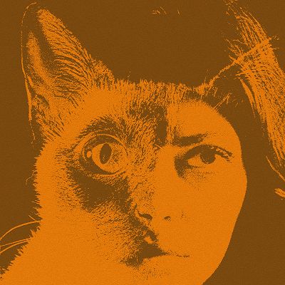 Le Jardin w/ Sarah Davachi | NTS
