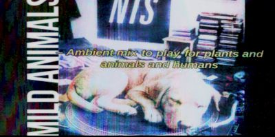 Mild Animals