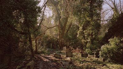 VERNAL EQUINOX W/ GEORGE SELLEY