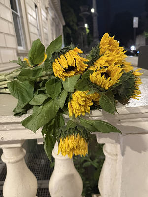 Happy Death
