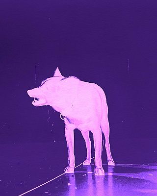 DEBT & REFUGE W/ Nymity